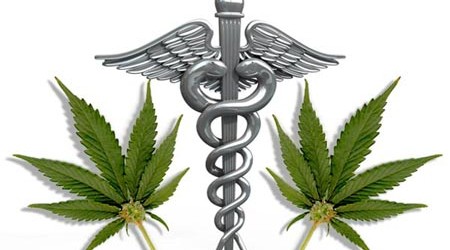  ... - Connecticut moves full-steam ahead with medical marijuana bill