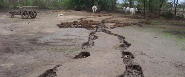 Indian scientist in the United States has cautioned that mysterious long widespread cracks observed in several places in the Indo-Gangetic plains could be due to motion of a massive granitic body underneath. Ramesh Singh, who had extensively studied the seismology in that region, said in a statement as concern mounted over cracks being formed in several districts of Uttar Pradesh. “It is my sincere appeal to the government of India to monitor seismic activities in the area...
