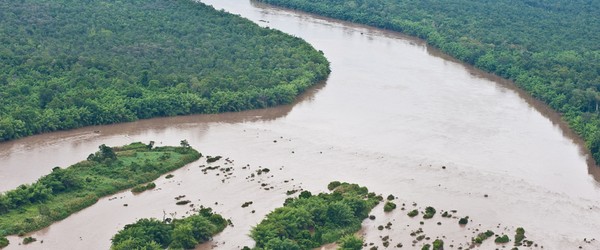 The conservation organization World Wide Fund for Nature (WWF) just released a new report called “Wild Mekong” hightlightning the 208  species discovered in Greater Mekong region in past year. The Greater Mekong region, which sprawls across the countries of Cambodia, Laos, Myanmar, Thailand, Vietnam and China, teems with some of the most diverse, and endangered, species of plants and animals on the planet. The Greater Mekong was off-limits to researchers until the past two decades...