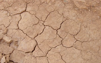 Maharashtra, an Indian state, is facing one of the worst droughts in the past 40 years. Reports say severe droughts have prompted people to migrate to Mumbai and neighboring states of Gujarat, Karnataka and Andhra Pradesh from 3,905 villages in 12 districts of the state. Districts of Ahmednagar, Aurangabad, Jalna, Beed and Osmanabad are reported to have only enough drinking water reserves to sustain through March. Impending summer will only worsen the situation and the state will have to transport water from neighboring districts and even by trains from other states, a high-ranking bureaucrat told Times of India. According to...