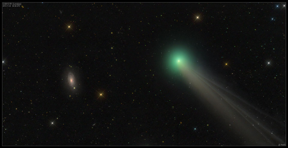 Comet Lovejoy on November 25 2013 image copyright Damian Peach